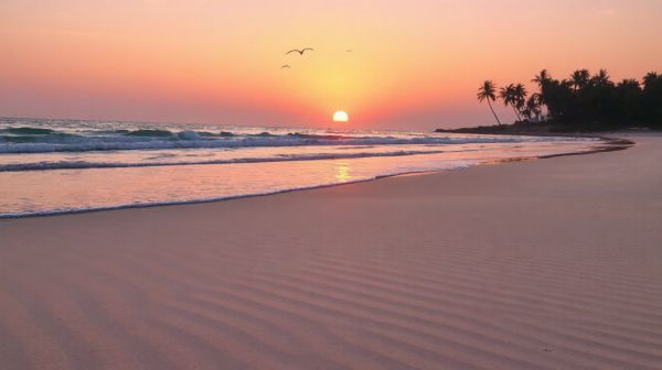 7 astuces pour un voyage serein et sans tracas