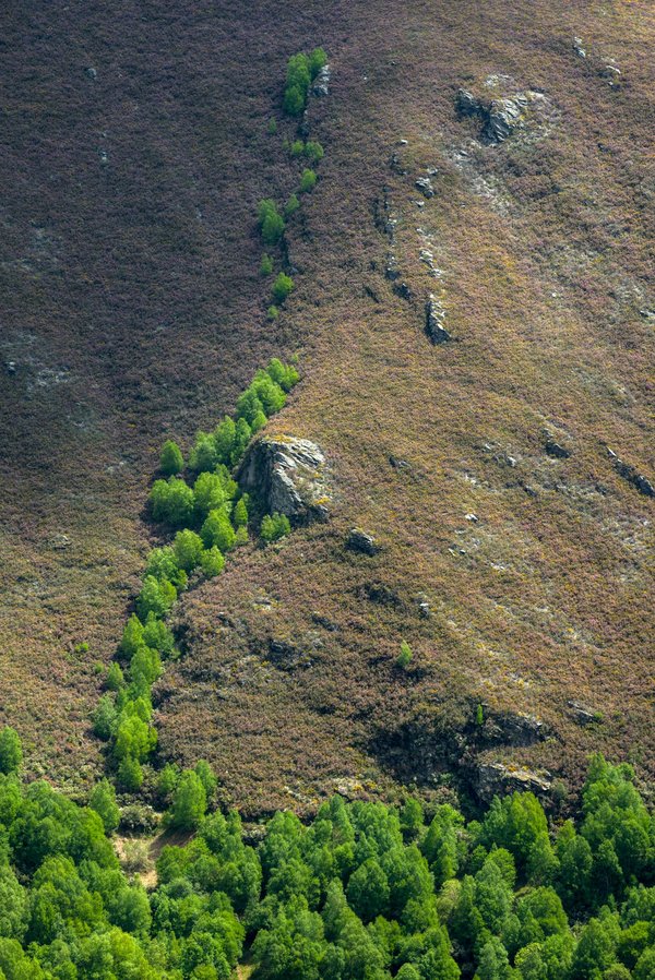 Comment organiser une visite des forts coloniaux en Afrique de l'Ouest ?